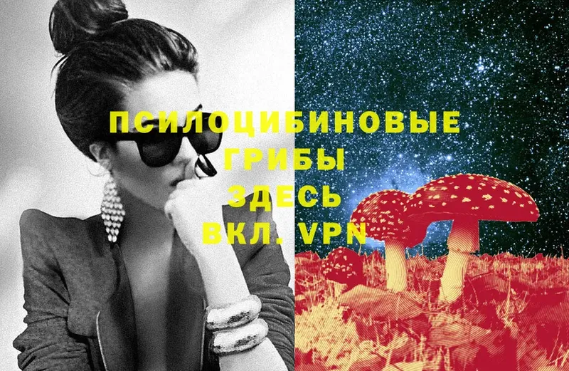 Псилоцибиновые грибы Cubensis  как найти закладки  мориарти как зайти  Артёмовск 